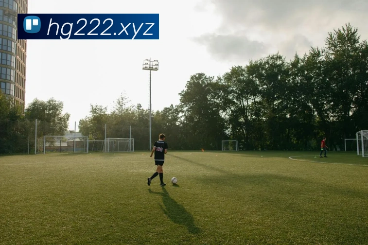 奖项图3